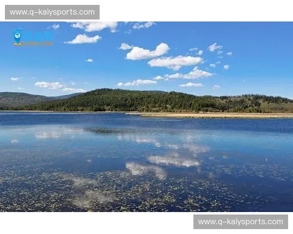 开云镜像站:开启更快速、更稳定的云端体验 开云镜像站:开启更快速、更稳定的云端体验