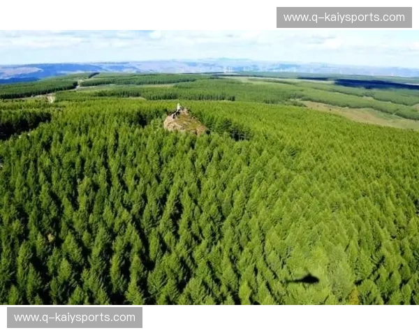 绿茵场上的“冰与火之歌”：澳大利亚的硬核霸权对阵阿曼的沙漠奇迹